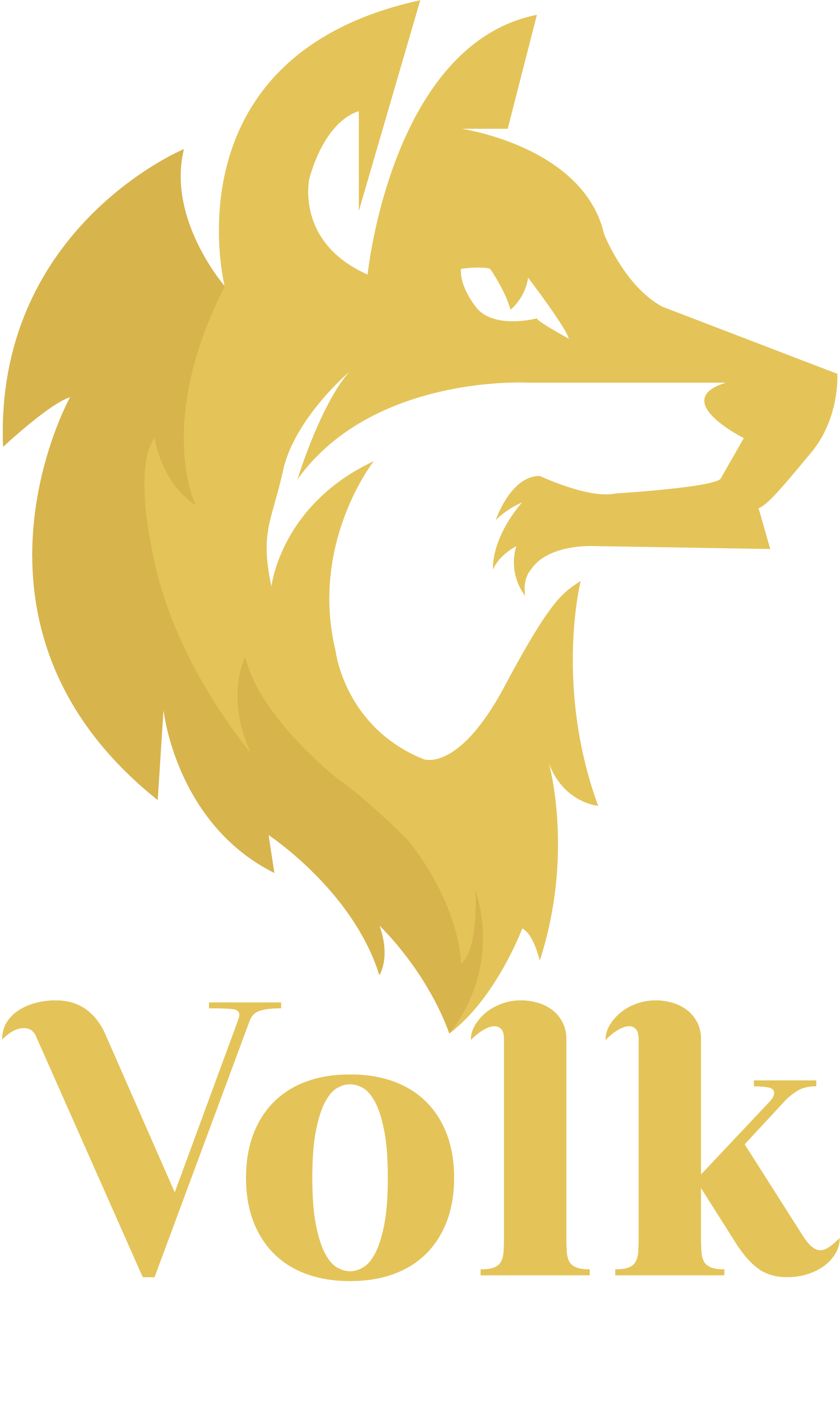 Logo Volk Company agência de marketing digital agência de marketing digital